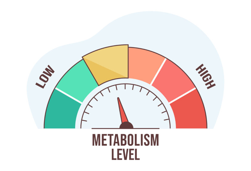 Metabolism and Aging