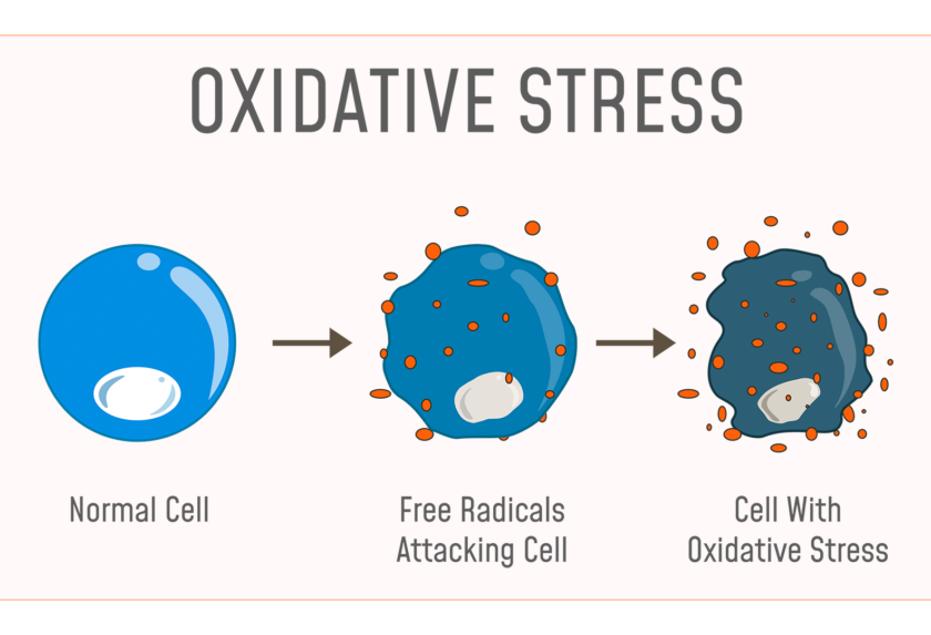 What is Oxidative Stress?