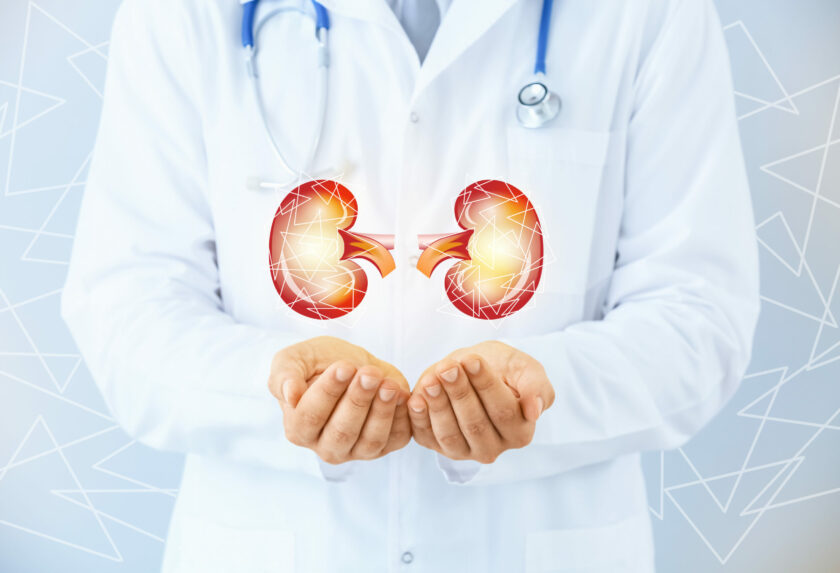 The Importance of Kidney Health: Preventing Chronic Kidney Disease (CKD)